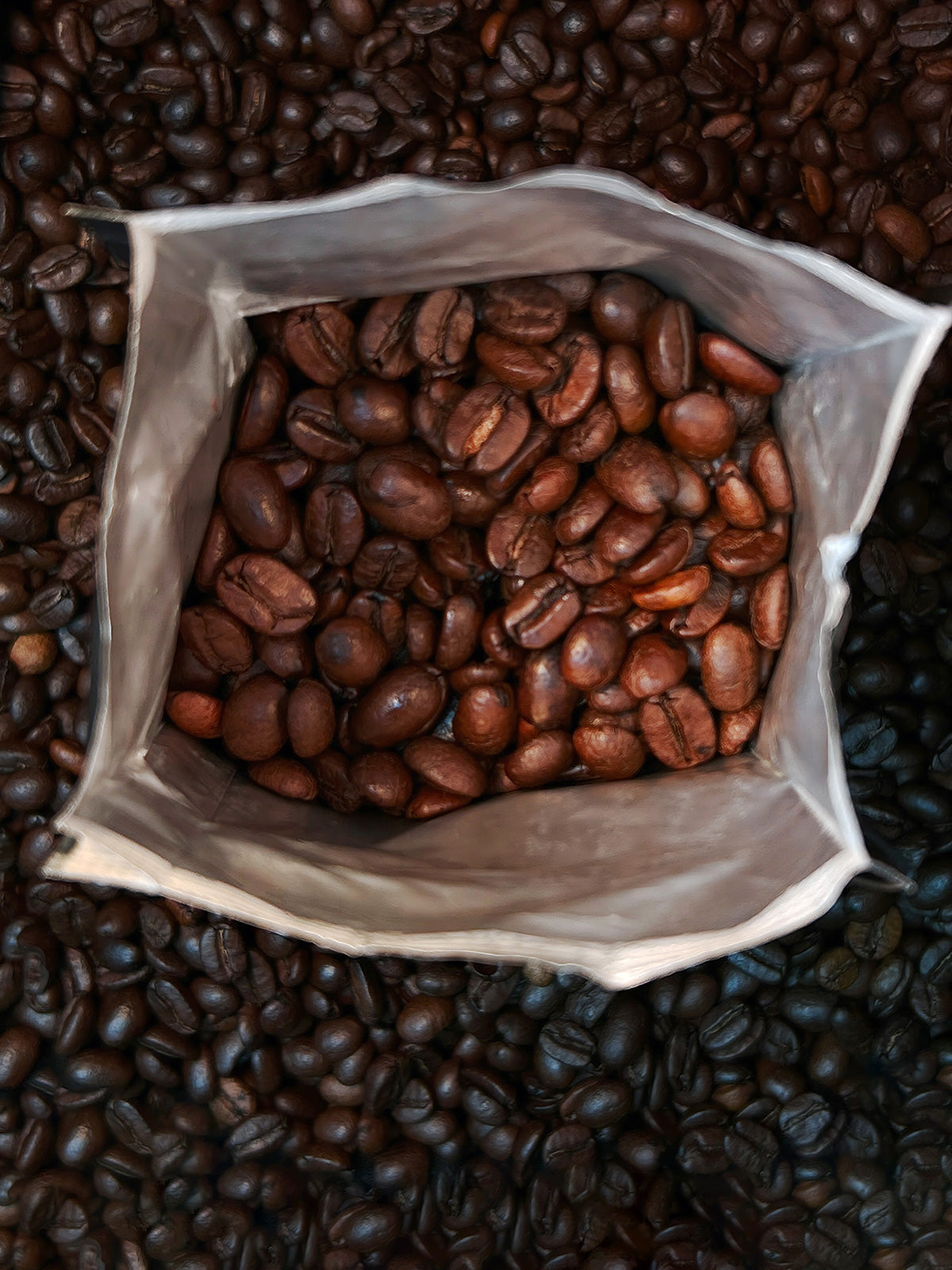 Tai Gourmet Coffee Grano 8 oz